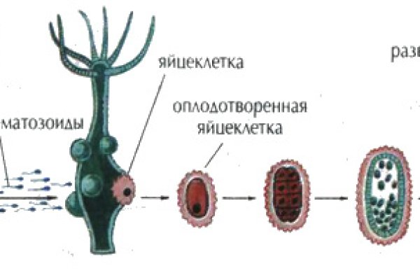 Ссылка омг омг в тор браузере omgomgweb